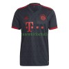 Maillot de Supporter FC Bayern Munich Troisième 2022-23 Pour Homme